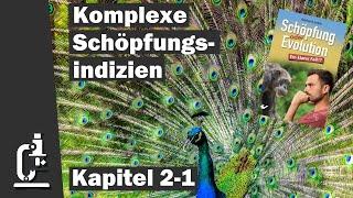 Komplexe Schöpfungsindizien  Schöpfung oder Evolution 2-1