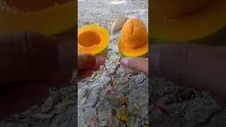 cara makan mangga yang enak