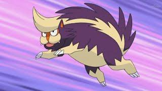 Stunky and Skuntank Pokemon all Attacks #pokemon #stunky #skuntank #all #new #attacks #youtubevideo