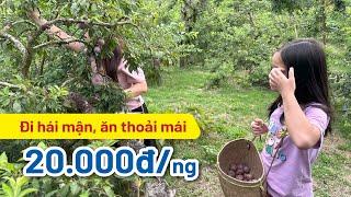 Thung lũng mận Nà Ka - Đi hái mận ăn thỏa thích chỉ 20.000đ  Bạch Hoàng Travel