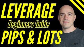 Forex Leverage for Beginners Explained lot sizes and pips