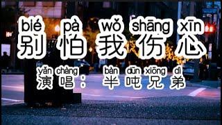 Chinese - 中国語歌ピンイン付き《别怕我伤心》learn Chinese with pop song 听歌学中文53别怕我伤心 原唱：张信哲『一颗爱你的心，时时刻刻为你转不停。』