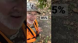 Scrape Science #deerhunting #deer