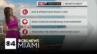 South Florida Weather for Wednesday 1022024 12PM