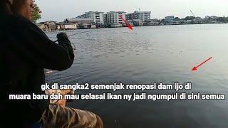 smenjak pembangunan dam ijo dah hampir slsai semua ikan nya pada kumpul di sini #muarabarudamijo