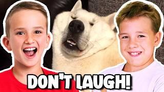 Extreme Try Not To Laugh Challenge
