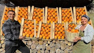 Collecting And Cooking An Incredible Dessert Of Juicy Persimmons In A Mountain Village