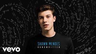 Shawn Mendes - Imagination Official Audio