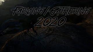 Black Desert 2020 Lifeskilling Series - Farming and Gathering