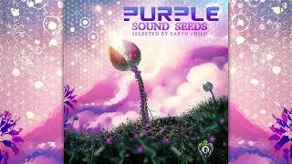 PSYCHILL - Purple Sound Seeds - Compiled by Earth Child Full Album