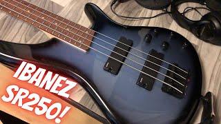 IBANEZ SR250 BASS GUITAR REVIEW