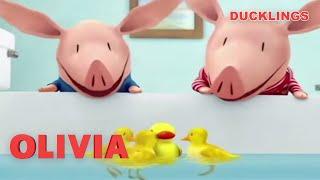 Olivia the Ducklings Mom  Olivia the Pig  Full Episodes  Cartoons for Kids