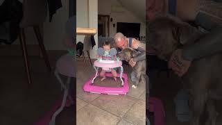 Prime volte in piedi INSIEME ️️ #animal #love #life #pets #puppy #funny