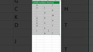 Hide & unhide numbers shortcut in excel