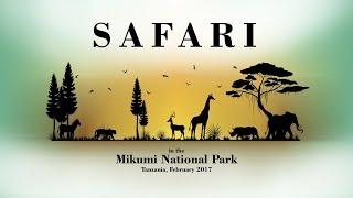 Safari in the Mikumi National Park Tanzania 2017