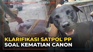 Anjing Bernama Canon Mati Satpol PP Aceh  Bantah Lakukan Penyiksaan