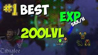 BEST EXP SPAWNS FOR LEVEL 200 PALADINS #1 EPISODE ORAMOND WEST TIBIA