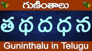 త థ ద ధ న గుణింతాలు Tha Ttha Dha Ddha Na guninthalu  How to write Telugu guninthalu @TeluguVanam ​