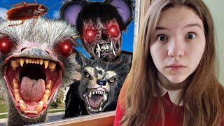 EVIL ANIMALS INVASION