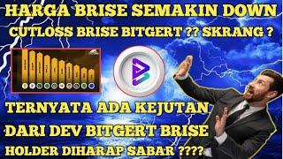 HARGA BRISE SEMAKIN DOWN  CUTLOSE BRISE BITGERT ? KEJUTAN TERBARU DARI DEV BRISE  BRISE NAIK ?