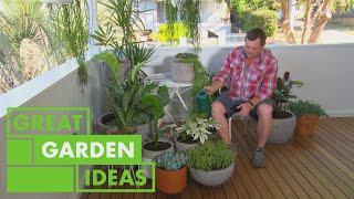 How to Grow and Care for Potted Plants  GARDEN  Great Home Ideas