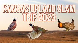 Kansas Upland Bird Slam - 2023 Kansas Hunting Trip