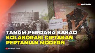 TANAM PERDANA KAKAO KOLABORASI CIPTAKAN PERTANIAN MODERN #kostrad #tniad #tni