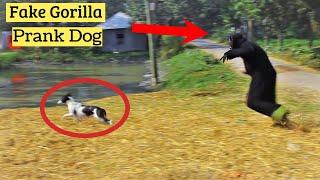 Fake Gorilla Vs Dog Prank  Prank Goes Wrong  Dangerous Dog Reaction Prank - Angry Dogs Prank