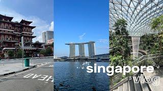 5 days in Singapore Vlog 2024  what I eat in SG local foods must visit travel guide hidden gem