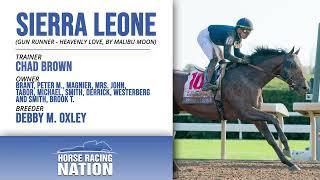 How to bet the Kentucky Derby Sierra Leone