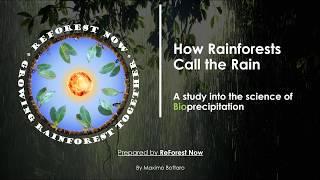 How Rainforests Call the Rain