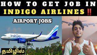 How To Get Job in INDIGO AIRLINES  FRESHERS  Tamil 