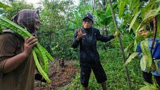 BETAH BANGET  SUASANA SORE HARI INI DI PERKAMPUNGAN DI PEGUNUNGAN PELOSOK TASIKMALAYA