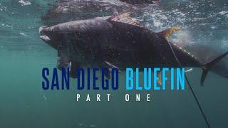 San Diego Bluefin Episode 1 - Spearfishing