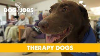 DOG JOBS AUSTRALIA - S02E02 - LORT SMITH THERAPY DOGS