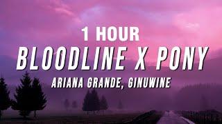 1 HOUR Ariana Grande Ginuwine - Bloodline X Pony TikTok Mashup Lyrics