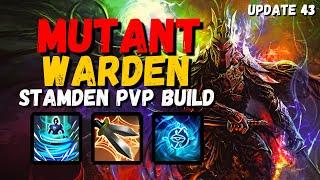 Contingency Warden is BRUTAL  Stamden PVP Build - ESO Gold Road