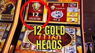 Gold Coast Hotel casino SLOTS Horrible Bonus BUFFALO