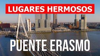 Puente Erasmus en 4k. Países Bajos y Rotterdam para visitar