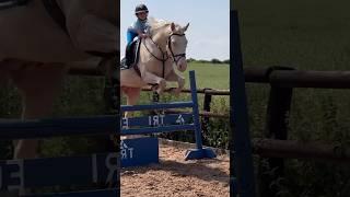 Jumping Ace double #horse #equestrian #showjumping #jumping #rider #stallion #pony #horseriding