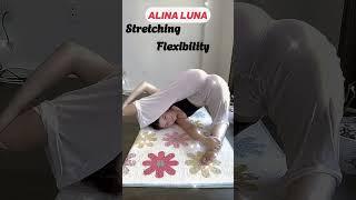 Morning Yoga Flexible Stretching Splits