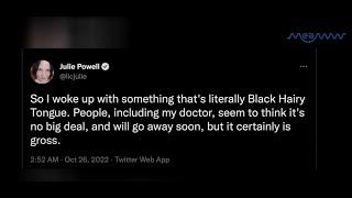 Julie Powells disturbing tweet a day before tragic death