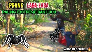 Video Lucu  Prank Laba Laba Paling Lucu  Asli Bikin Ngakak   Funniest Spider Prank