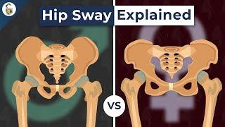 Why Do Womens Hips Sway When They Walk?