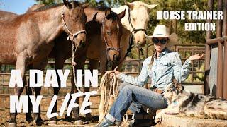 24 YEAR OLD THAT TRAINS HORSES FOR A LIVING a day in the life FULL TIME horse trainer