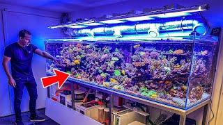 Most Beautiful Private Reef Tanks **400 GALLON**