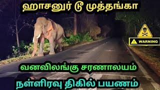 hasanur to muthanga wildlife sanctuarythrilling midnight driveelephant chasing