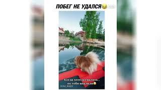 Побег не удался