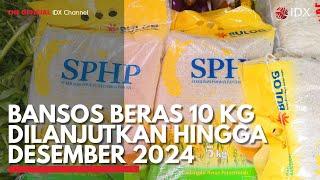 Bansos Beras 10 Kg Dilanjutkan Hingga Desember 2024  IDX CHANNEL