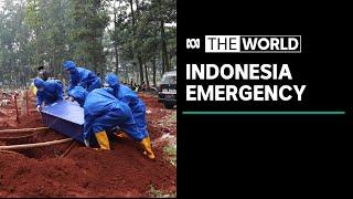 Indonesia extends emergency restrictions to fight second wave of COVID-19  The World